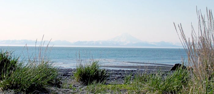 clamming in the Kenai Peninsula's Deep Creek area