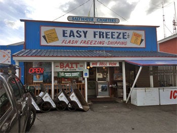 easy freeze valdez