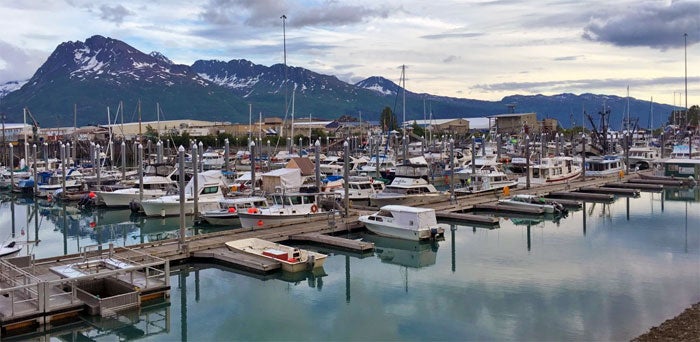 valdez harbor