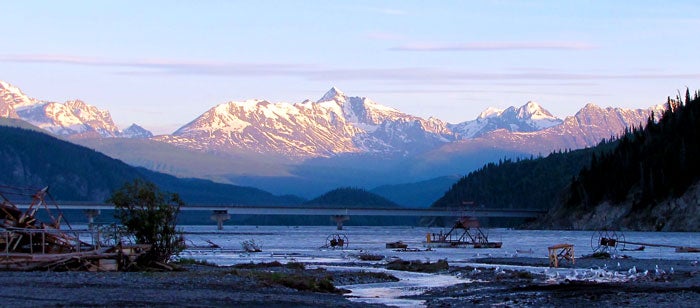 Copper River Salmon Run Chart