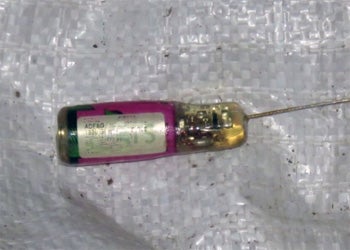 Radio tag used for salmon tracking Radio tag used for measuring salmon movement patterns in a river system