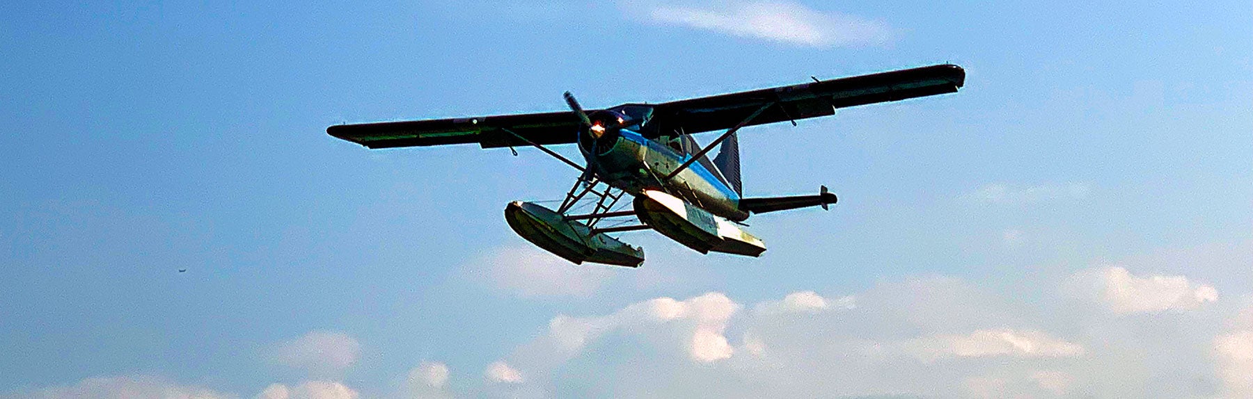 banner63.jpg